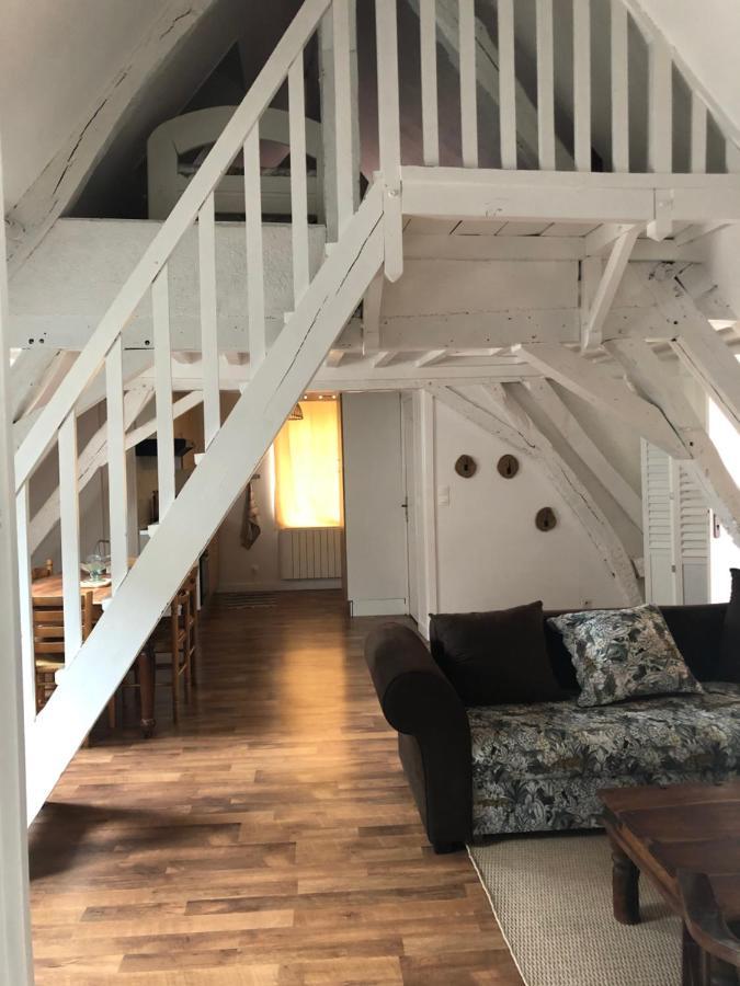 Le Grand Appartement - 90m2- 2 chb , 1 mezzanine - 6pers Romorantin-Lanthenay Esterno foto
