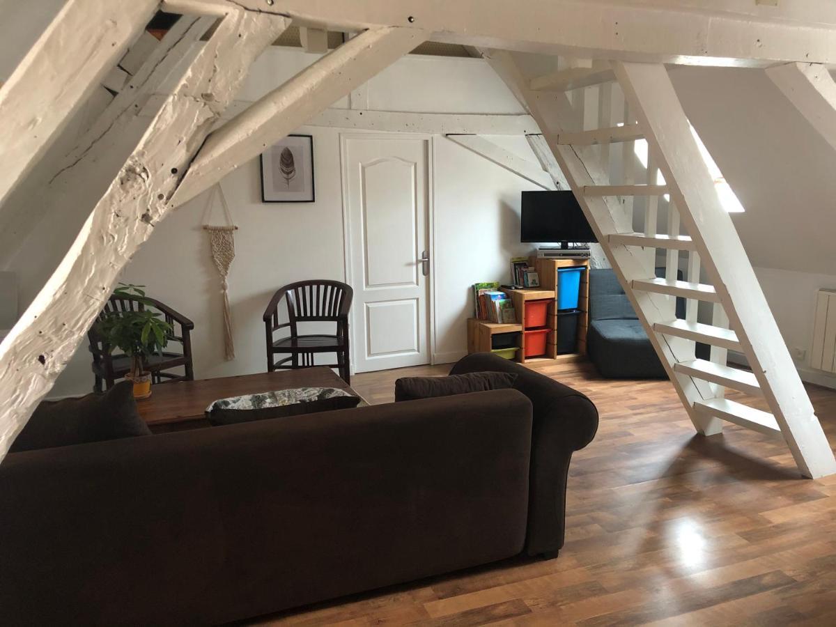 Le Grand Appartement - 90m2- 2 chb , 1 mezzanine - 6pers Romorantin-Lanthenay Esterno foto