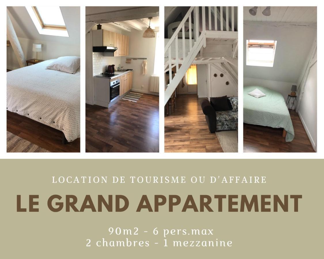Le Grand Appartement - 90m2- 2 chb , 1 mezzanine - 6pers Romorantin-Lanthenay Esterno foto
